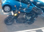 IMG00173-20100421-1809.jpg