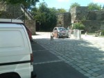 IMG00397-20110627-1309.jpg