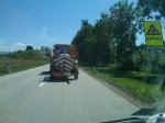 IMG00399-20110627-1501.jpg