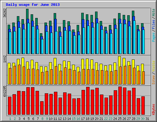 Daily usage for June 2013