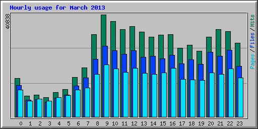 Hourly usage for March 2013
